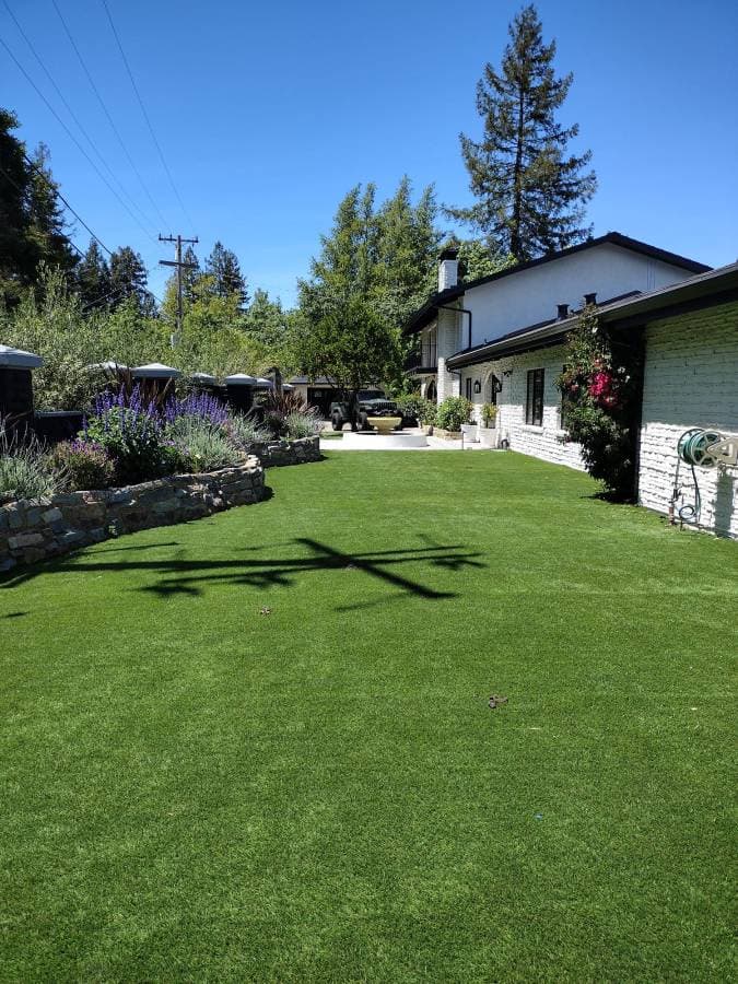 Residential yard improvement project with lawn care and exterior handyman work in San Rafael