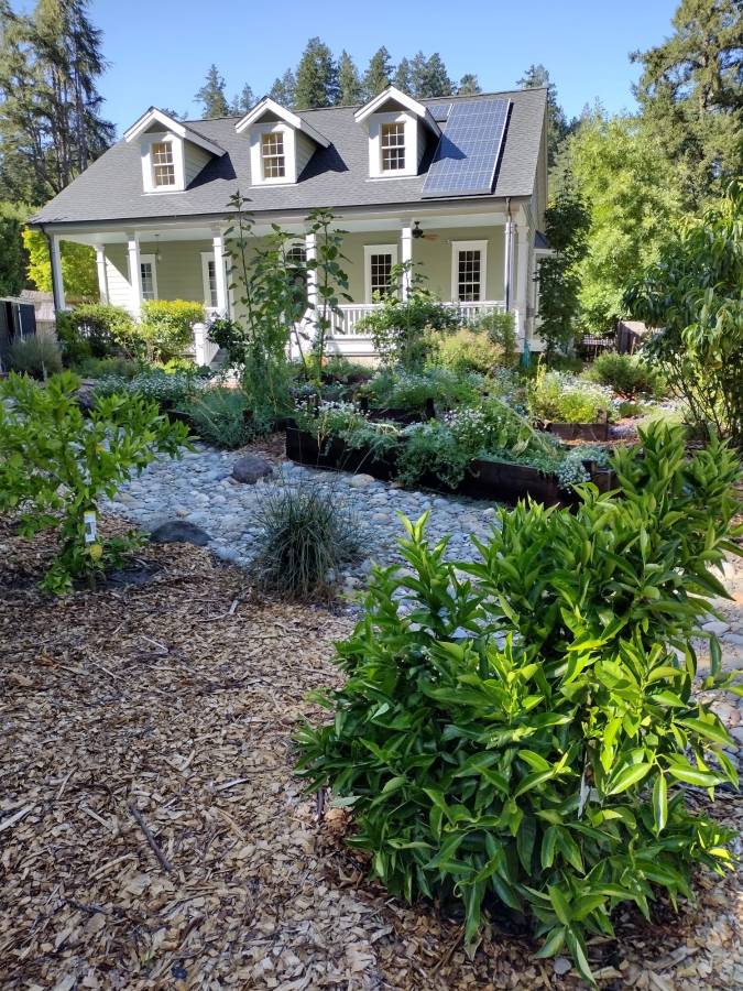 Local handyman services in San Rafael CA featuring landscaped residential property and outdoor improvements